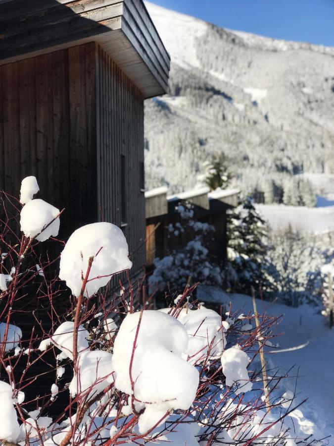 Chalet Sternwarte Hohentauern Exterior foto